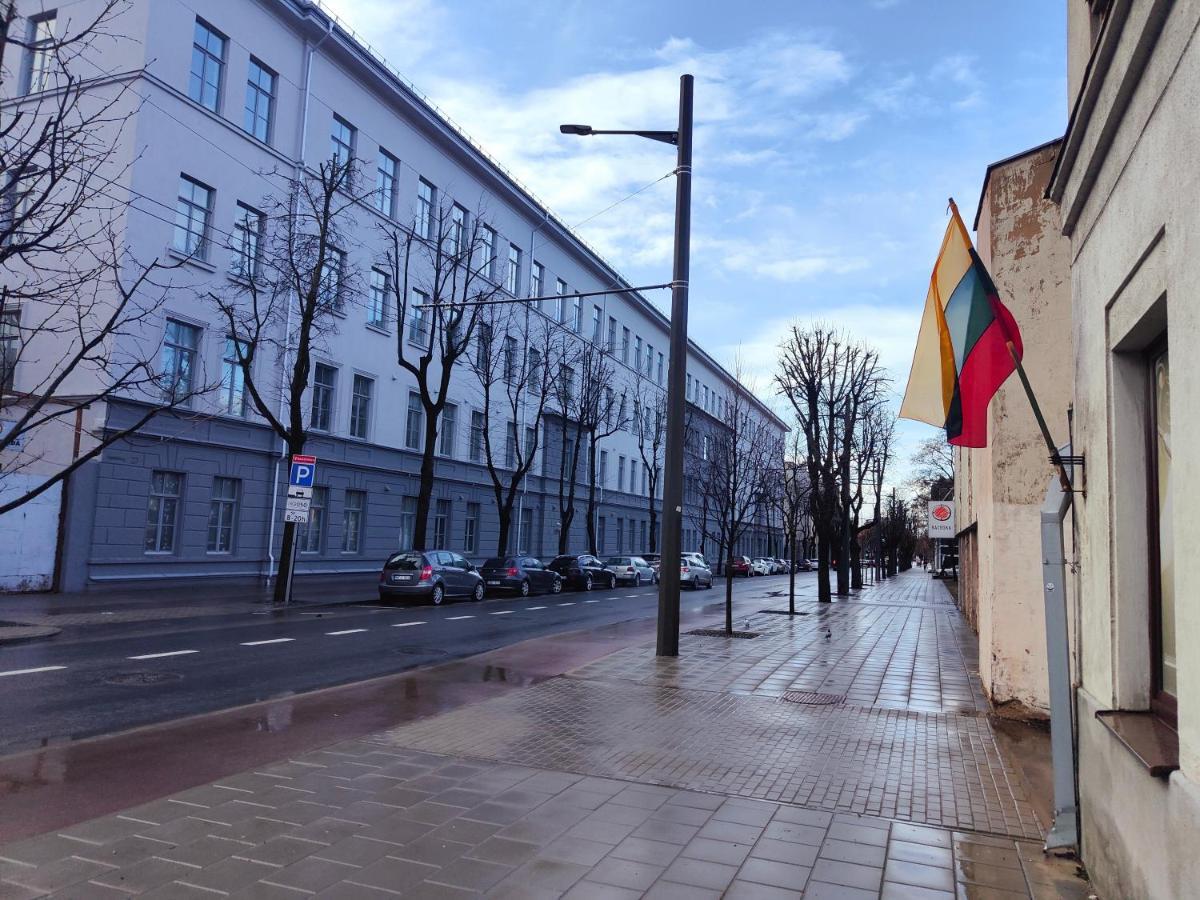 Owl Jazz Apartments - Luxury Apartments In The Heart Of The City Kaunas Eksteriør billede